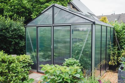 Modern Greenhouse Structure