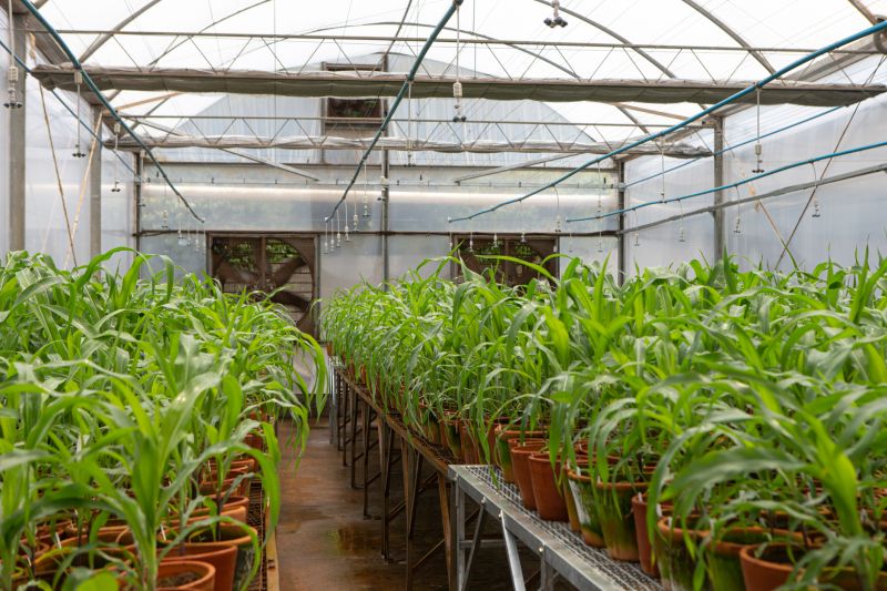 Greenhouse Installation in Progress