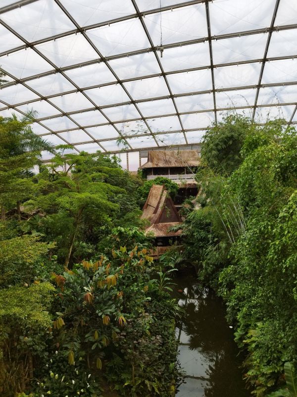 Completed Greenhouse Structure