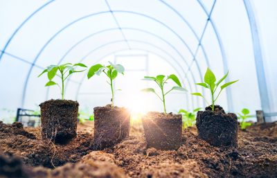 Climate-Controlled Greenhouses