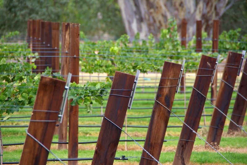 Trellis Construction in Conroe, TX